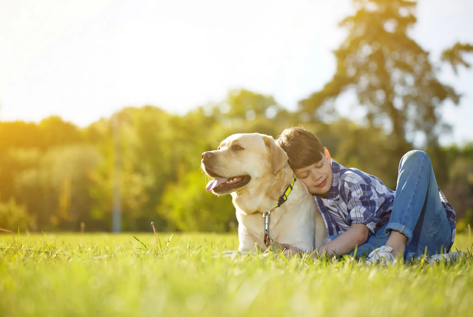 How Service Dogs Help Children With Anxiety, Autism, And PTSD