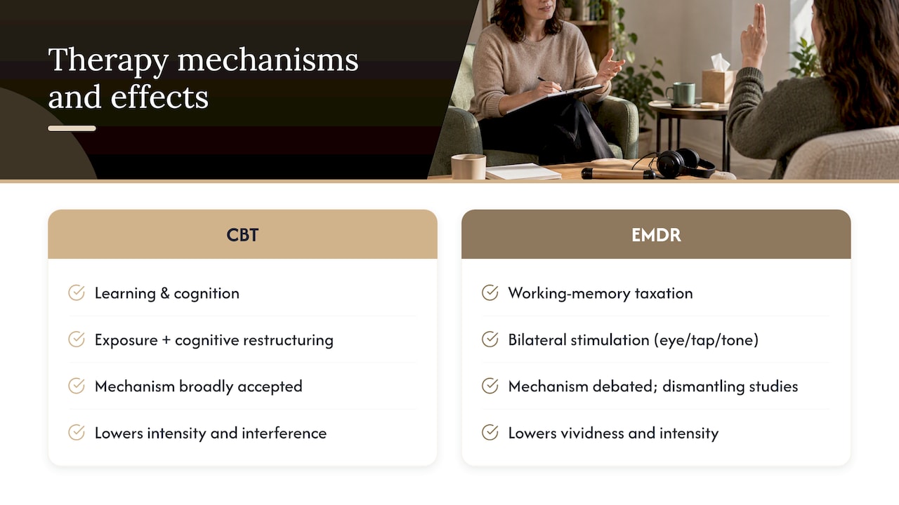 How each therapy affects the brain and emotional processing — overview diagram